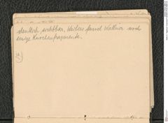 Seite 21, Tagebuch "Inzersdorf" (NHMW-PRAE-BBB-24)